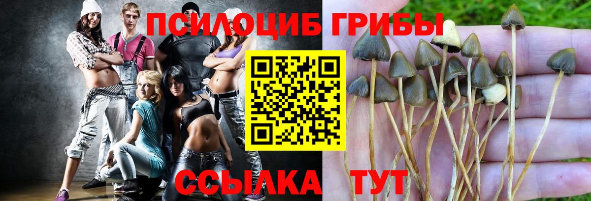 Галлюциногенные грибы мицелий  Вход с VPN  Псилоцибиновые грибы Cubensis  Коркино 