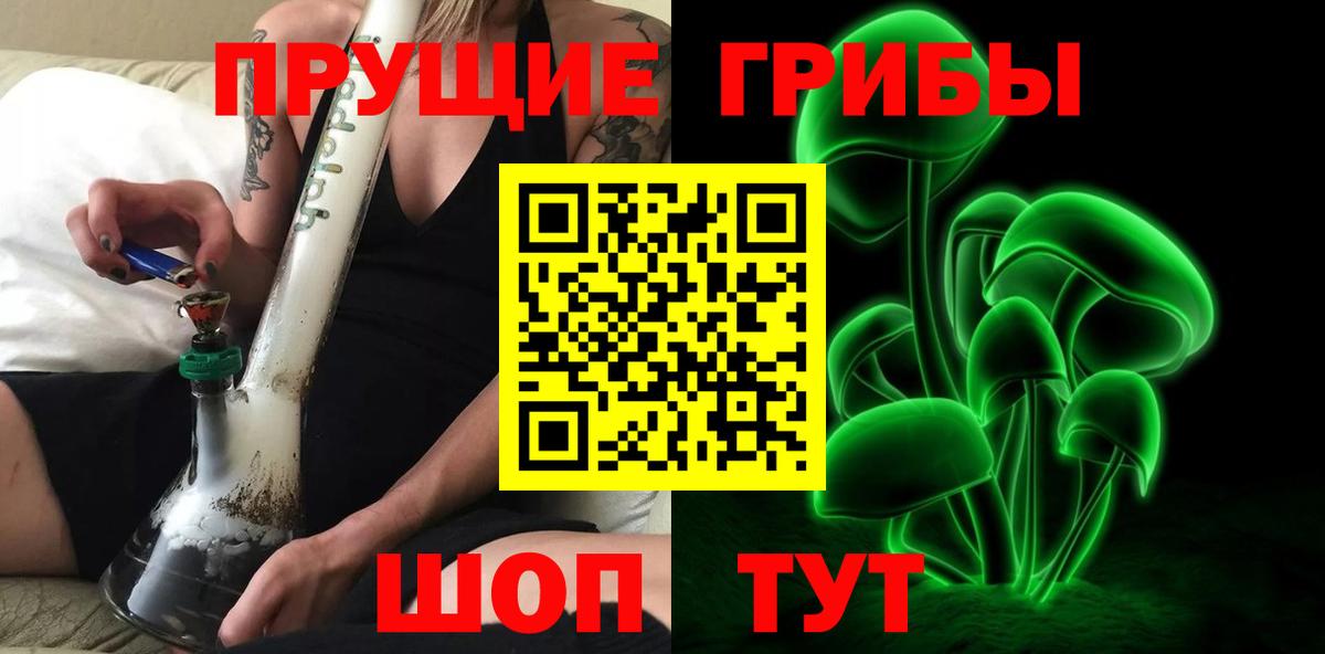 Псилоцибиновые грибы Cubensis Коркино